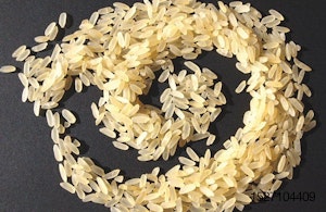 rice grains