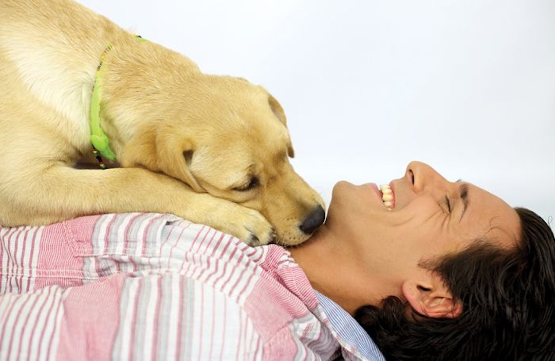 dog-human-partnership