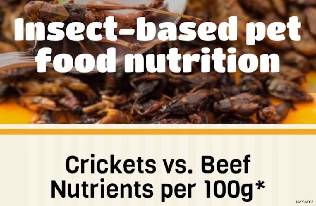 Insect_based_pet_food_nutrition_INFOGRAPHIC_Main_Image.jpg