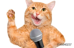 Cat with a microphone