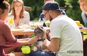 pet owners picnic
