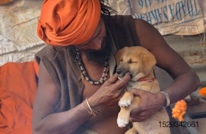 WEB-dog-India-Asia-Hindu.jpg