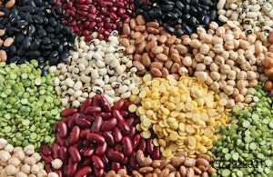 assorted legumes beans