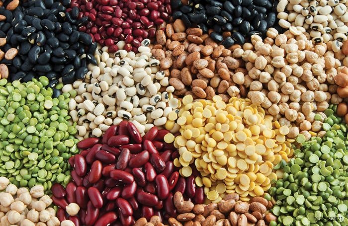 assorted legumes beans