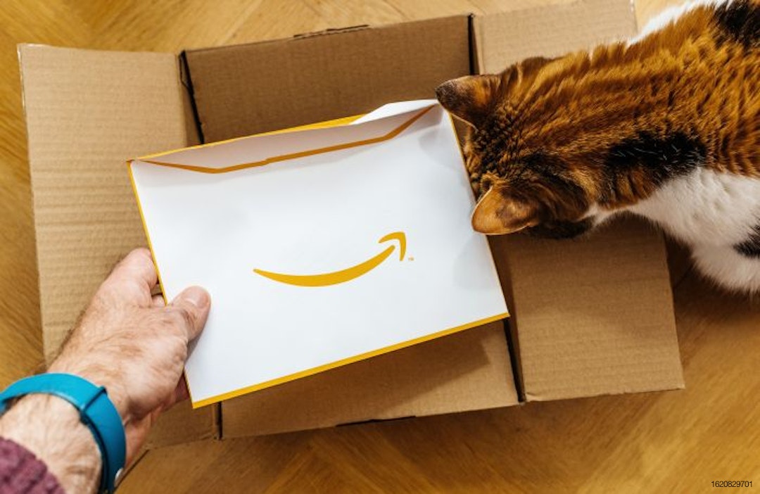cat-Amazon-online-ecommerce-delivery.jpg