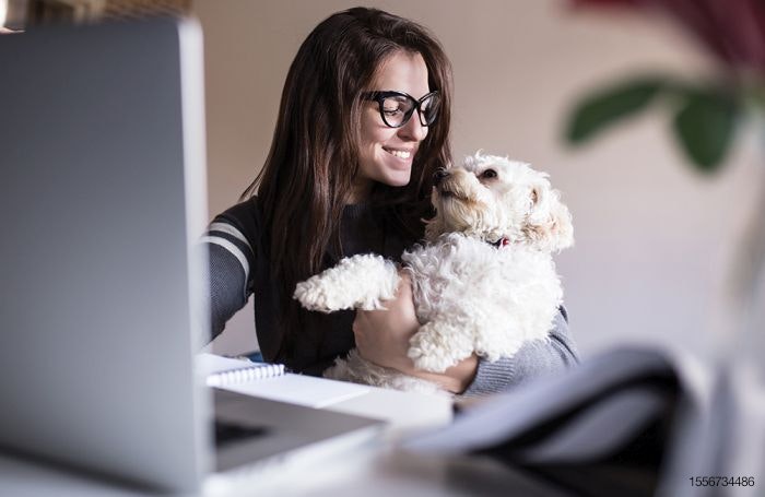 Pet owners purchase products, services from multiple channels |  