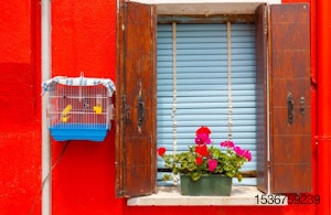 bird-cage-Italy-window-flowers.jpg