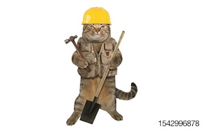 cat-construction-shovel-hammer-worker-building.jpg