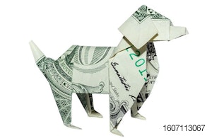 Money-Origami-Dog-business-cash-dollar.jpg