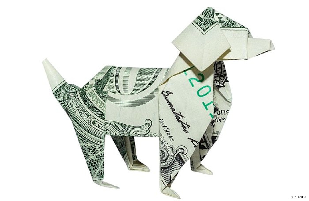 Money-Origami-Dog-business-cash-dollar.jpg