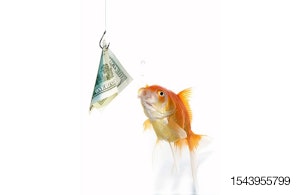 fish-goldfish-dollar-money-cash.jpg