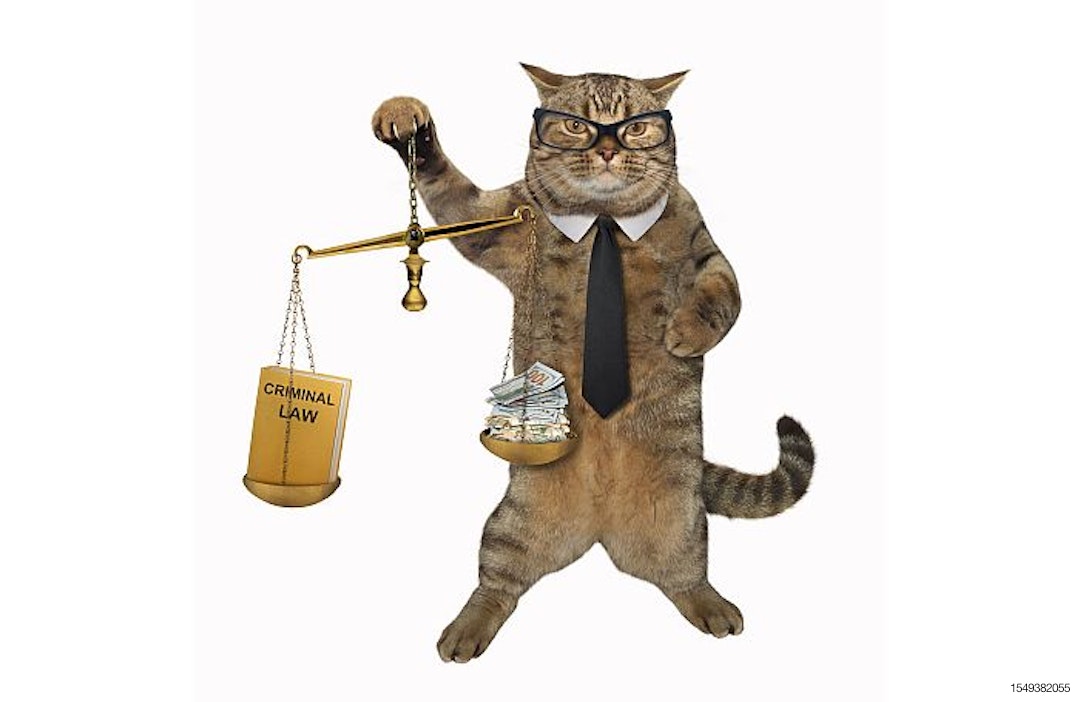 cat-glasses-legal-lawyer-lawsuit-justice-court.jpg