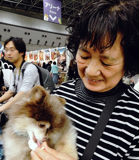 old-japanese-woman-feeding-dog