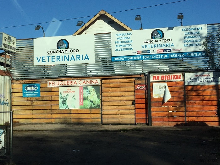 Chile-vet-clinic