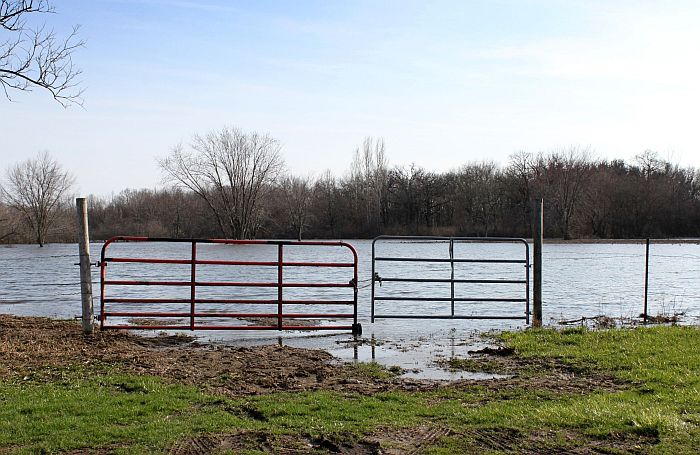 gate-flooded-pasture.jpg