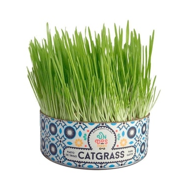 Petmarkt-Un-Dos-Treats-Catgrass