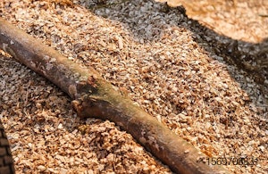 Shredded-Chip-Wood-branch-biomass.jpg