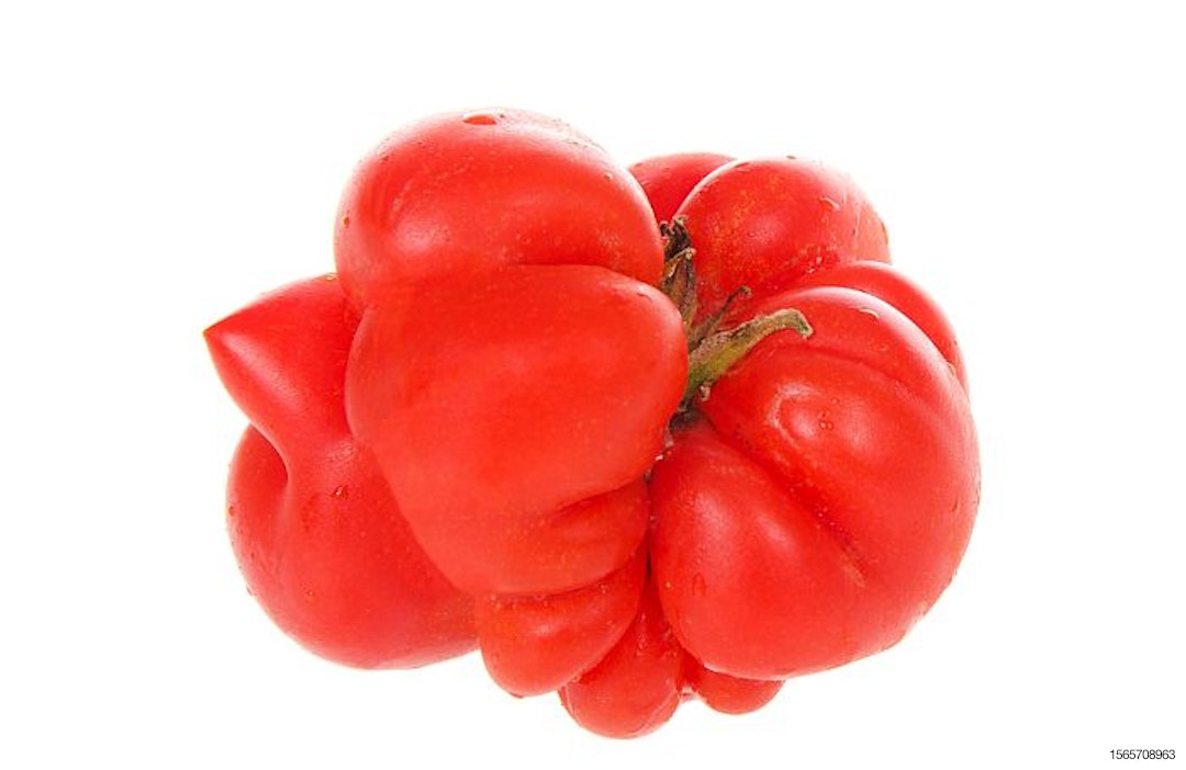 mutant-tomato-malformed-fruit-upcycle.jpg