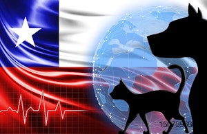 Chile-flag-dog-cat-world.jpg