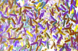 gut-bacteria-microbiome