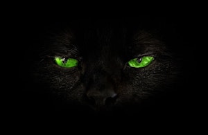 black-cat-green-eyes.jpg