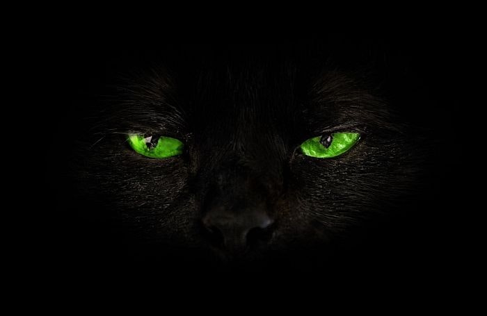 black-cat-green-eyes.jpg