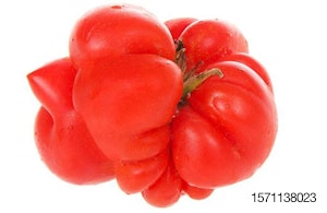 mutant-tomato-malformed-fruit-upcycle