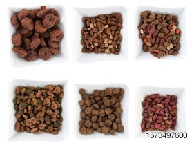 clextral-extruded-pet-food
