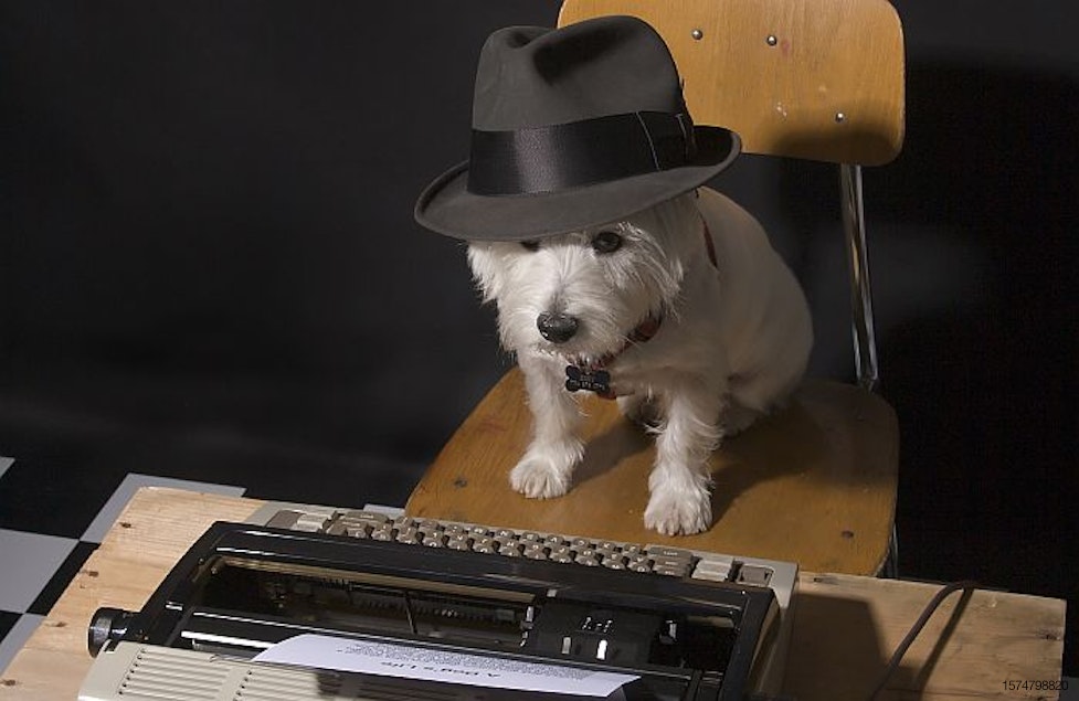 dog typewriter hat reporter journalist detective