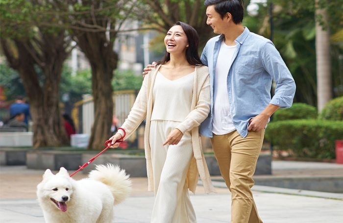 Yantai China Pet Foods net profit up 40% in 2019 | PetfoodIndustry.com