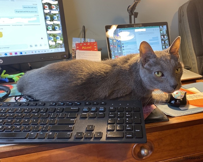 Deacon-working-from-home