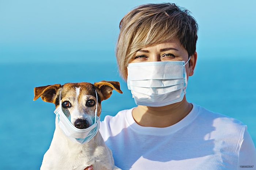 dog-woman-wearing-face-mask-disease-coronavirus-COVID-19.jpg