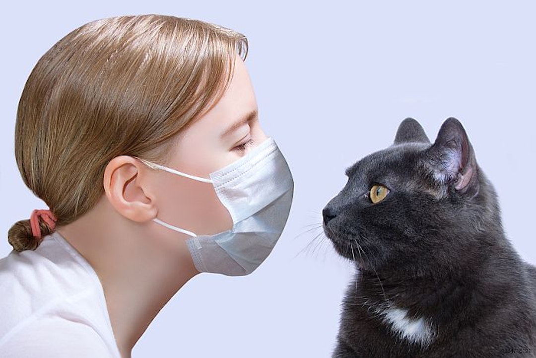white-woman-black-cat-face-to-face-mask-COVID-safety.jpg