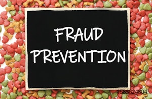 Fraud-prevention-concept-art