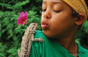 Reptile-pet-with-owner