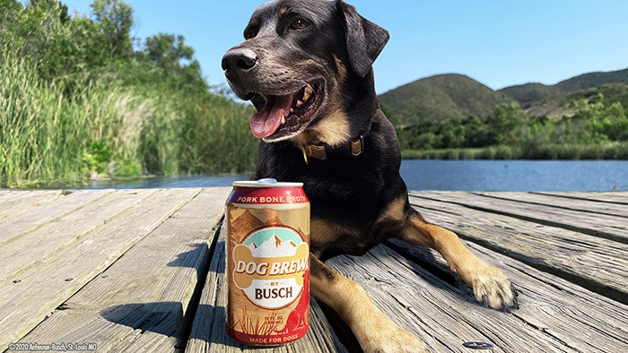 Busch-Dog-Brew