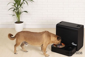 Kibus dehydrated dog food dispenser.jpg