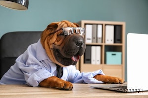 wrinkled-dog-business-computer-desk-shar-pei.jpg