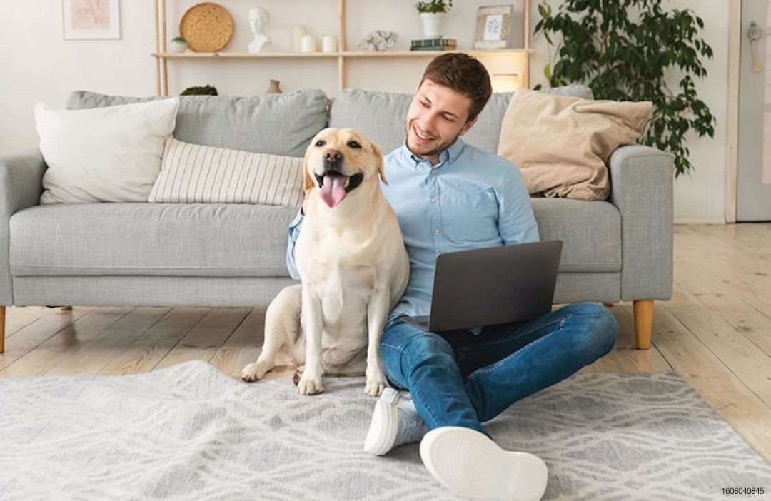 online-shopping-with-dog
