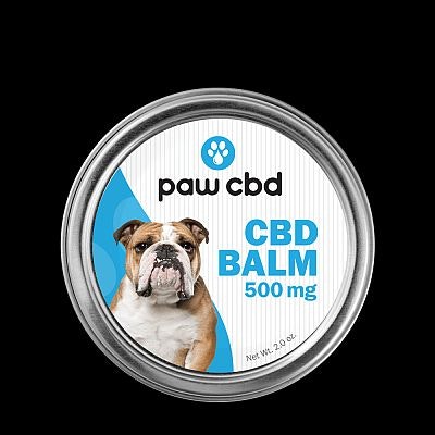 Paw CBD brand CBD balm for dogs.jpg