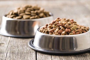 Pet-food-kibble-in-bowl.jpg