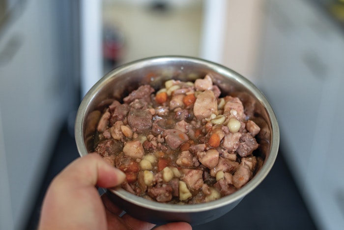Why is wet pet food unpopular in Latin America?