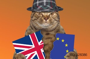 cat-Britain-flag
