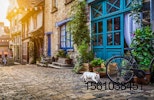 cat-Europe-street-village-quaint.jpg