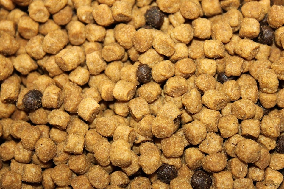 Dry pet food production on the rise in emerging markets ...