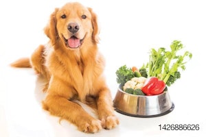 Nutrifusion pet food