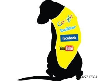 1110PETmonitor dog-social-media