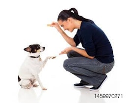 Pet-parent-interaction-dog-treat-1407PETfunctional.jpg