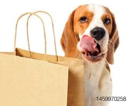 Pet-owners-premium-buying-trends-1306PETpremium