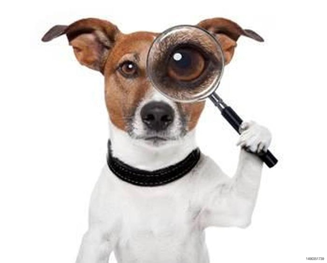 FSMA-FDA-inspector-dog-1302PETfsma